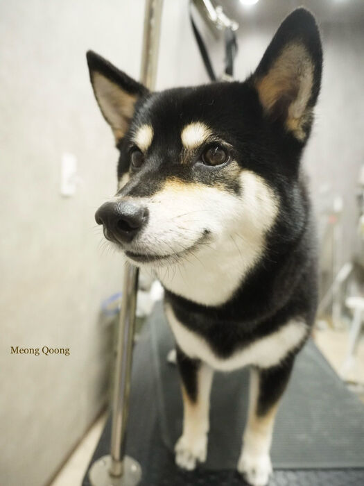 画像11702