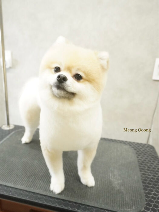 画像11747