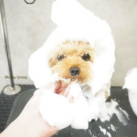 画像11767
