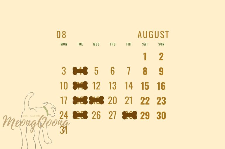 8