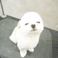 画像11777