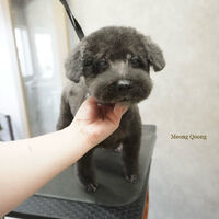 画像11922
