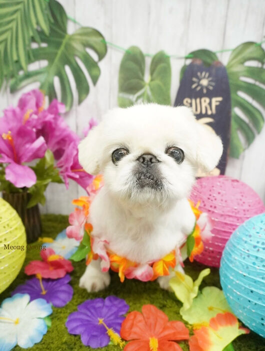 画像11988