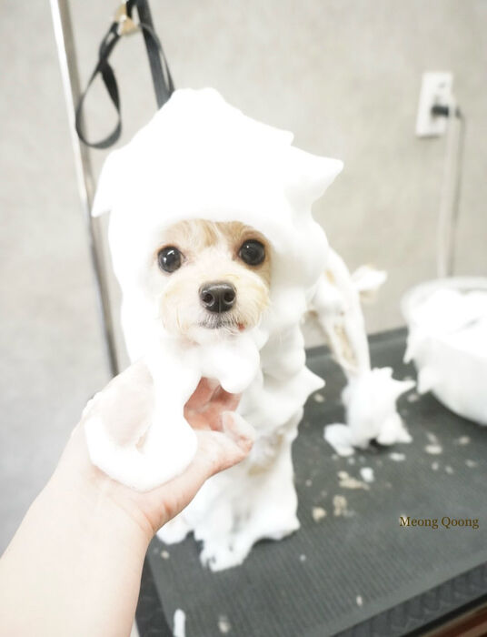画像12021