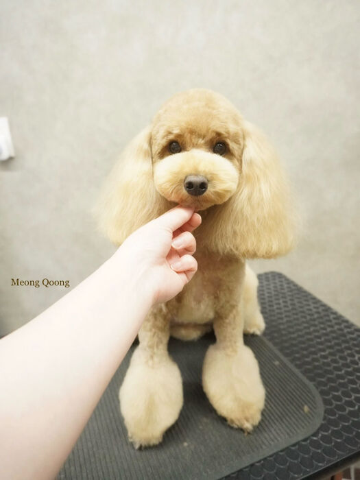 画像12024