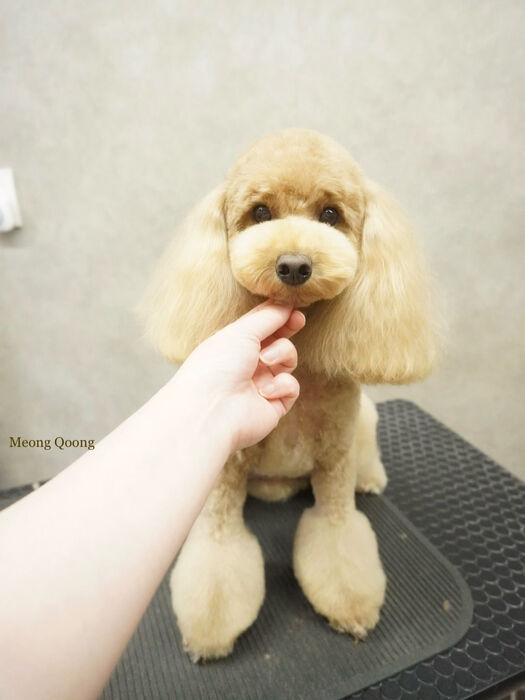 画像12025