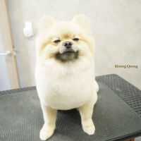 画像12032