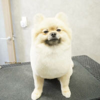 画像12033