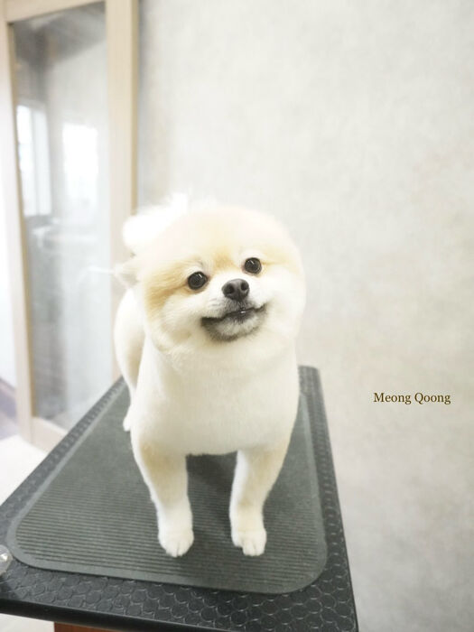 画像12044
