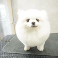 画像12057