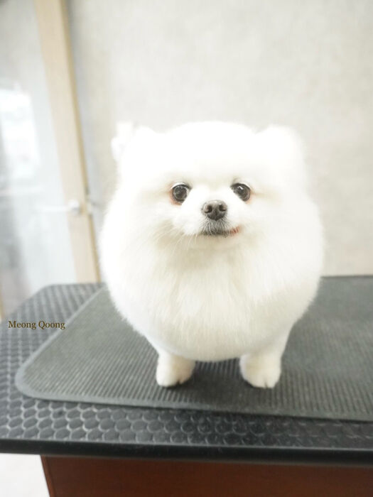 画像12057