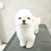 画像12076