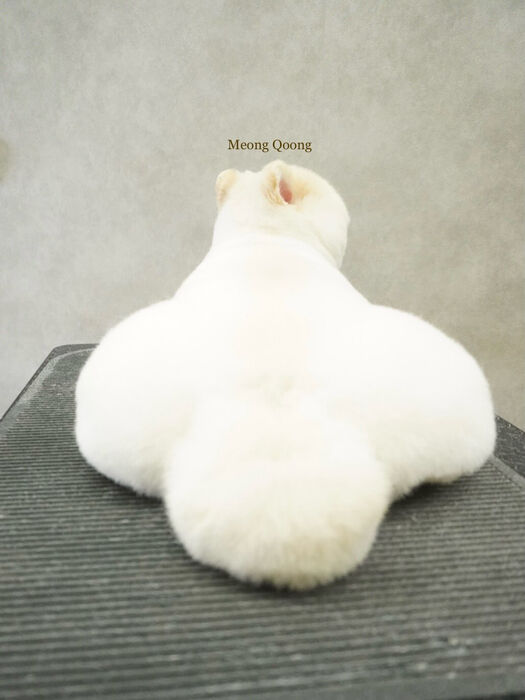 画像12134
