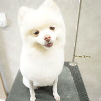画像12156