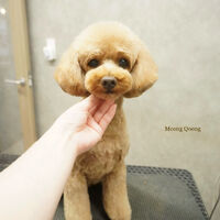 画像12207