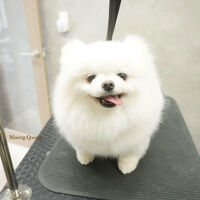 画像12220