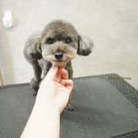 画像12236