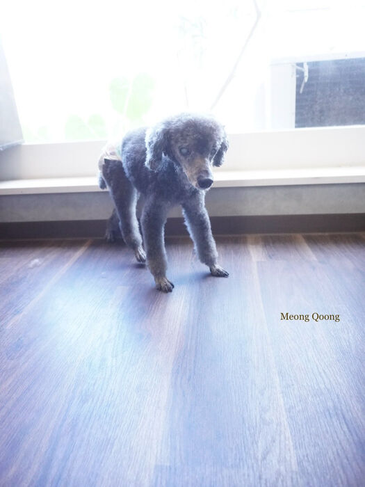 画像12245