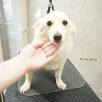 画像12266