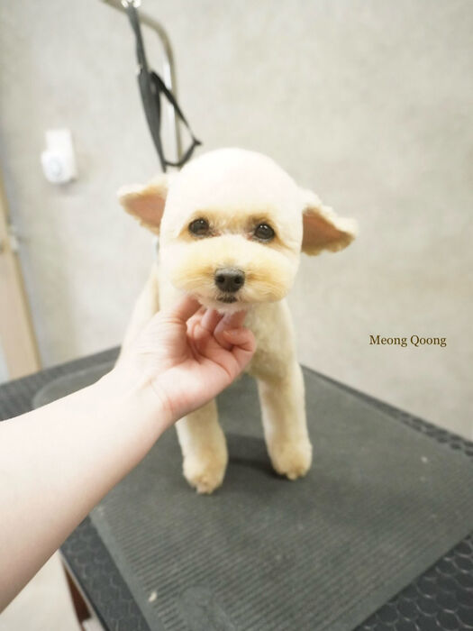 画像12273