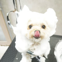 画像12305