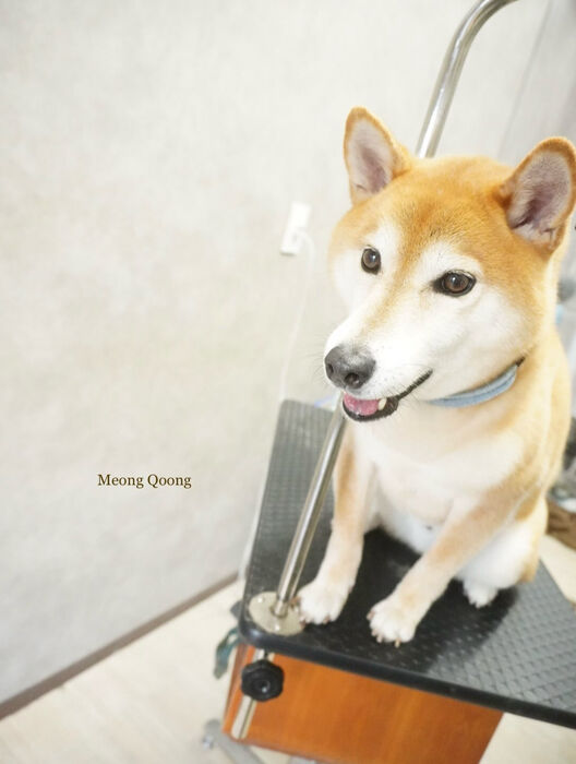 画像12319