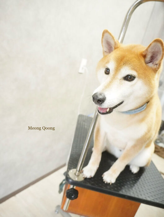 画像12320