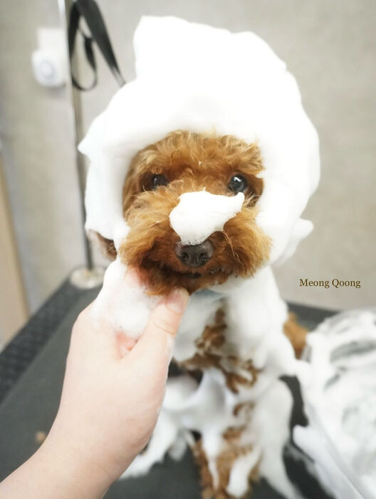画像12333