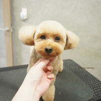 画像12338