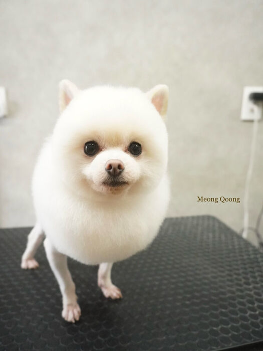 画像12346