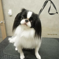 画像12353