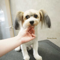 画像12362