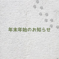 画像12369