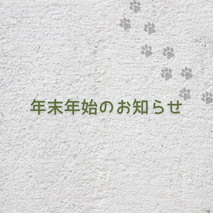 画像12369