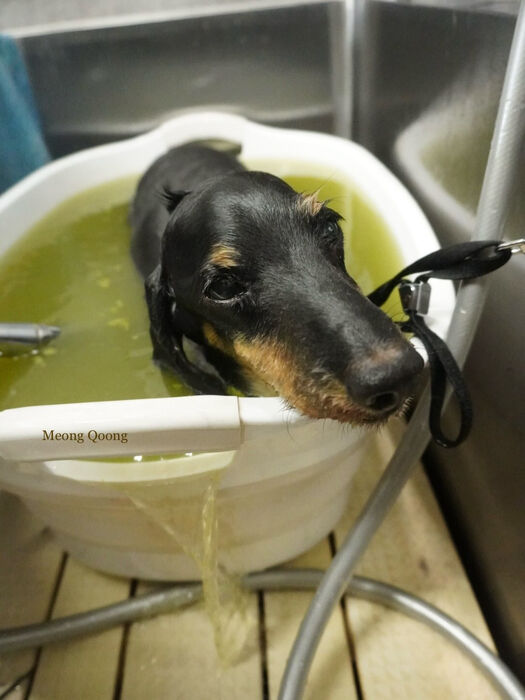 画像12381