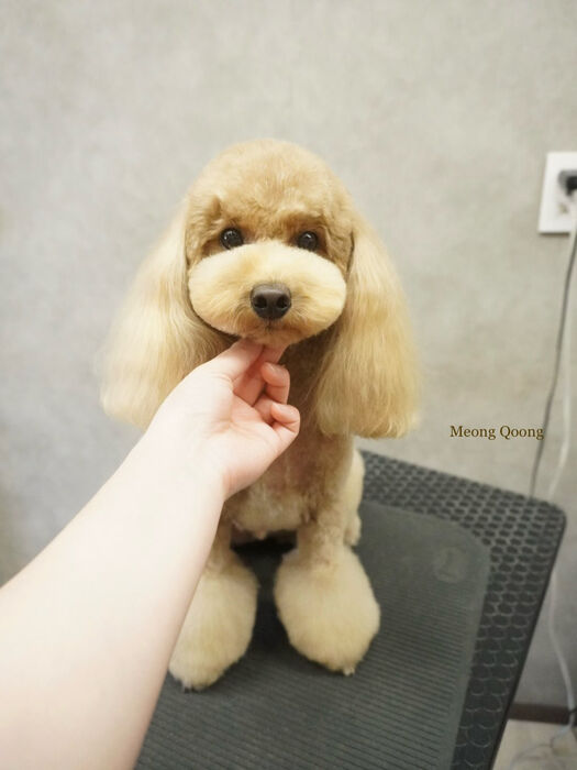 画像12436