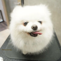 画像12470