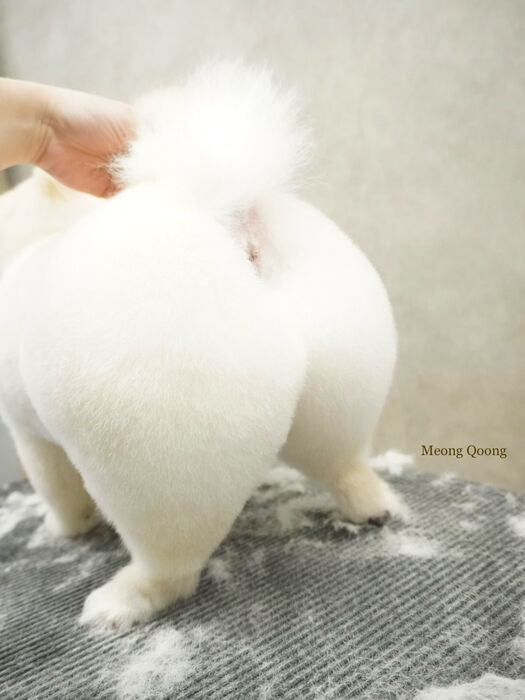 画像12487