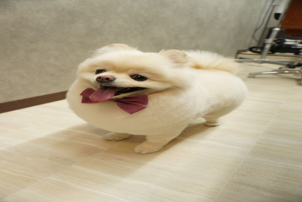 画像1383