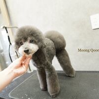 画像1413