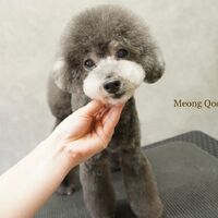 画像1414