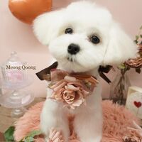 画像1429