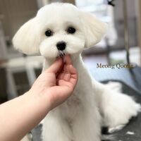 画像1431