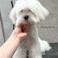 画像1432