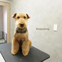 画像1443