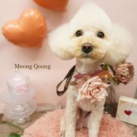 画像1453