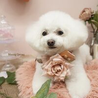 画像1505
