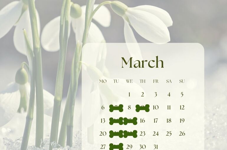 3月休み