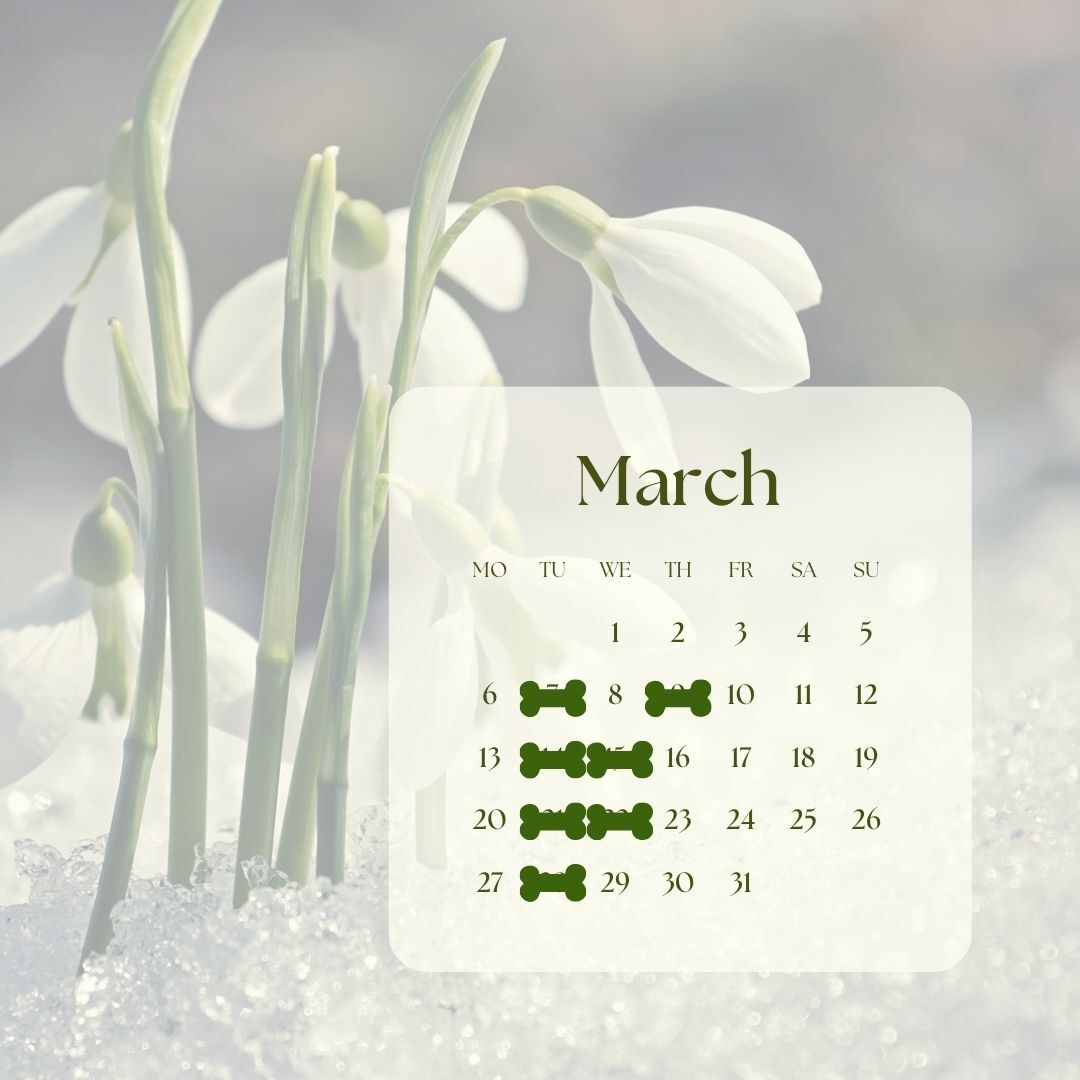 3月休み