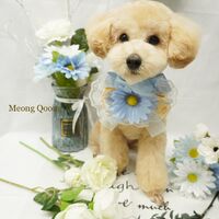 画像1531